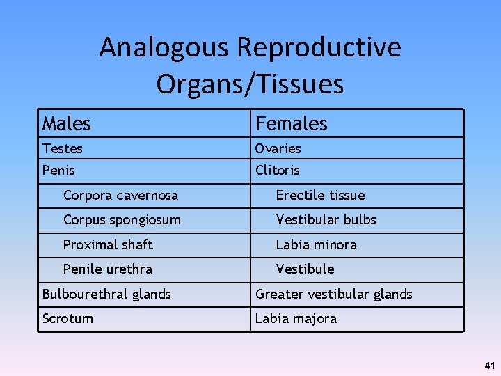 Analogous Reproductive Organs/Tissues Males Females Testes Ovaries Penis Clitoris Corpora cavernosa Erectile tissue Corpus Analogous Reproductive Organs/Tissues Males Females Testes Ovaries Penis Clitoris Corpora cavernosa Erectile tissue Corpus