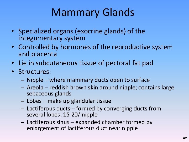 Mammary Glands • Specialized organs (exocrine glands) of the integumentary system • Controlled by Mammary Glands • Specialized organs (exocrine glands) of the integumentary system • Controlled by