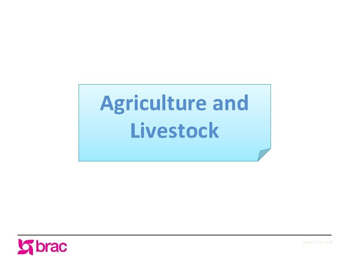 Agriculture and Livestock www. brac. net 