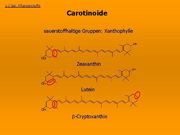 1. 2 Sek. Pflanzenstoffe Carotinoide sauerstoffhaltige Gruppen: Xanthophylle Zeaxanthin Lutein -Cryptoxanthin 