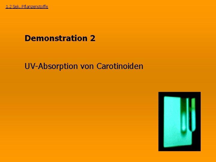 1. 2 Sek. Pflanzenstoffe Demonstration 2 UV-Absorption von Carotinoiden 