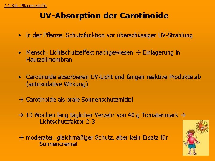 1. 2 Sek. Pflanzenstoffe UV-Absorption der Carotinoide • in der Pflanze: Schutzfunktion vor überschüssiger