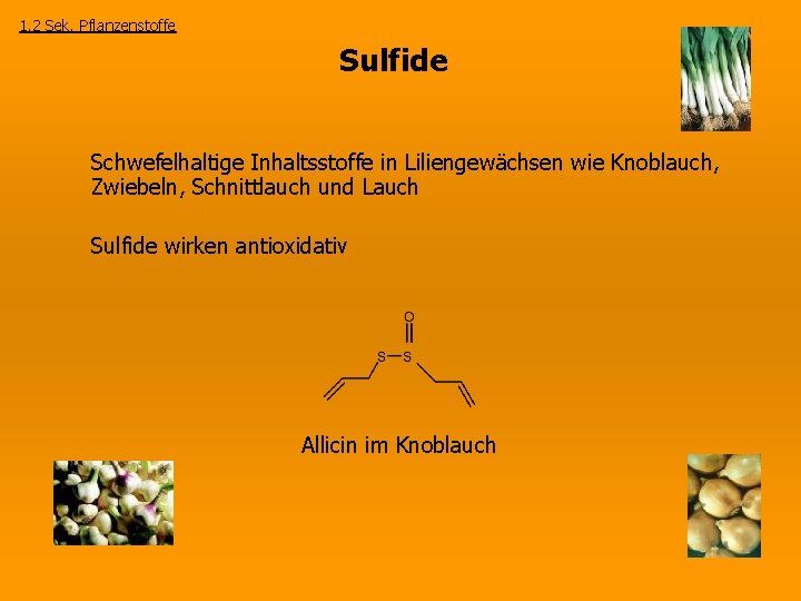 1. 2 Sek. Pflanzenstoffe Sulfide Schwefelhaltige Inhaltsstoffe in Liliengewächsen wie Knoblauch, Zwiebeln, Schnittlauch und