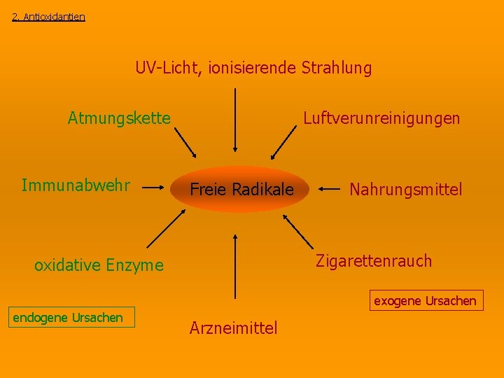 2. Antioxidantien UV-Licht, ionisierende Strahlung Atmungskette Immunabwehr Luftverunreinigungen Freie Radikale Nahrungsmittel Zigarettenrauch oxidative Enzyme