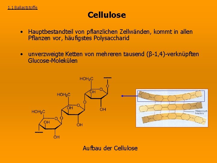 1. 1 Ballaststoffe Cellulose • Hauptbestandteil von pflanzlichen Zellwänden, kommt in allen Pflanzen vor,