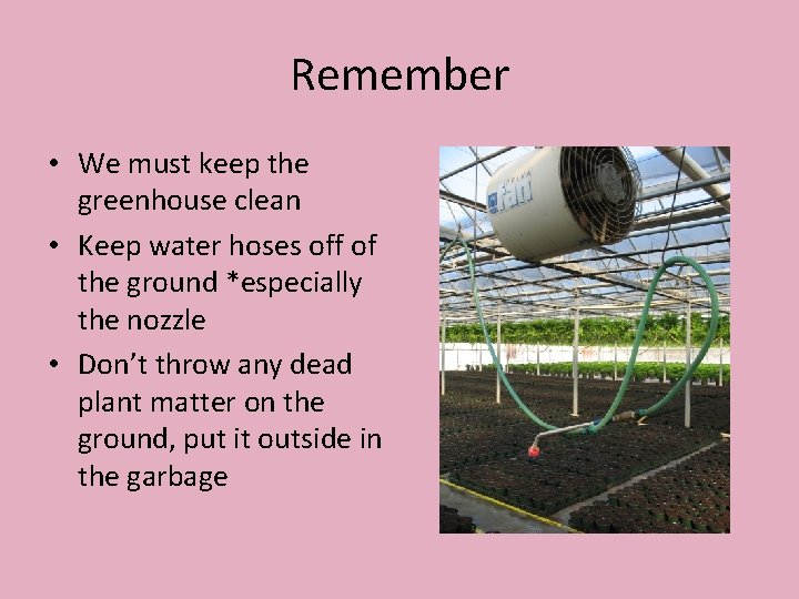 Remember • We must keep the greenhouse clean • Keep water hoses off of