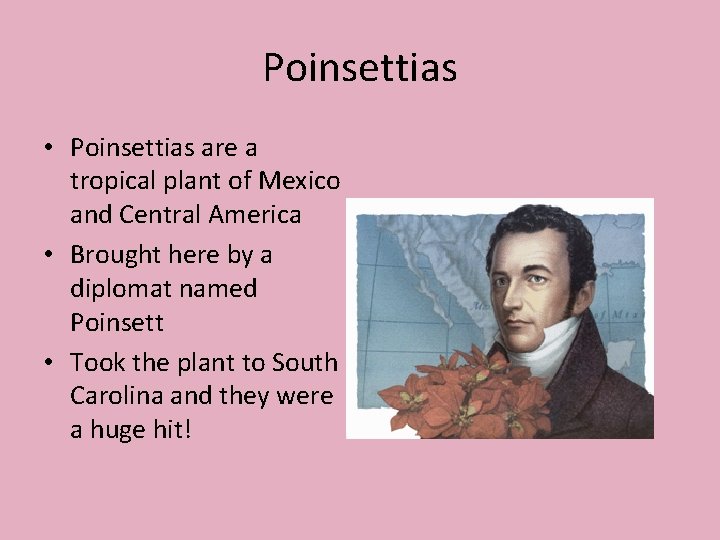 Poinsettias • Poinsettias are a tropical plant of Mexico and Central America • Brought