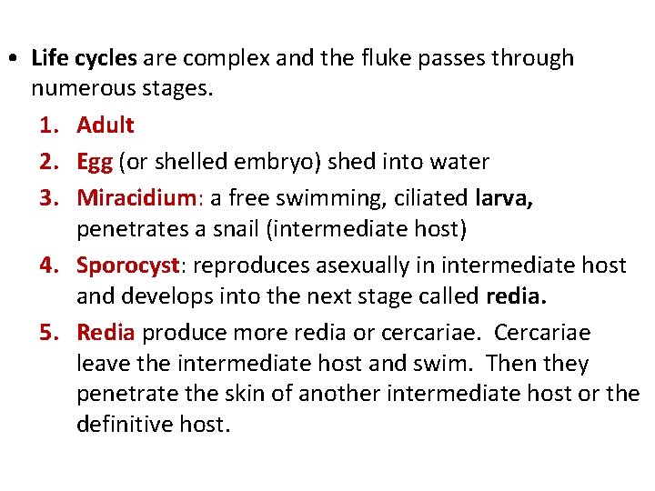 • Life cycles are complex and the fluke passes through numerous stages. 1.
