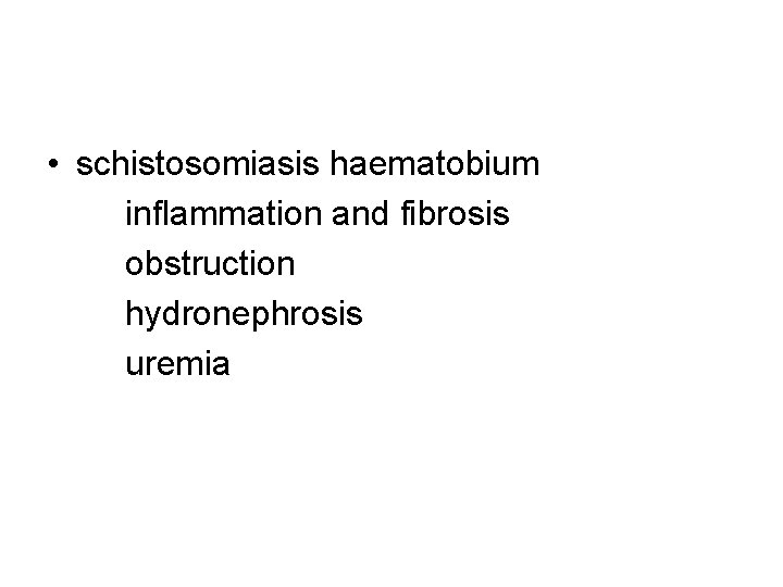  • schistosomiasis haematobium inflammation and fibrosis obstruction hydronephrosis uremia 