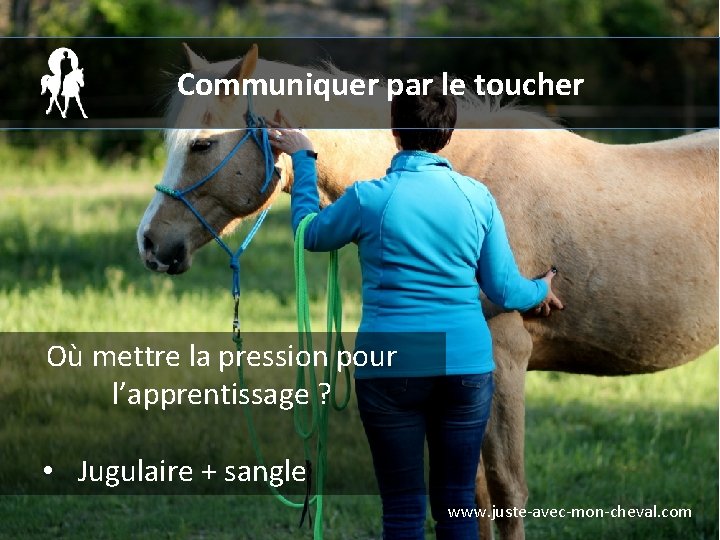 Communiquer par le toucher Où mettre la pression pour l’apprentissage ? • Jugulaire +