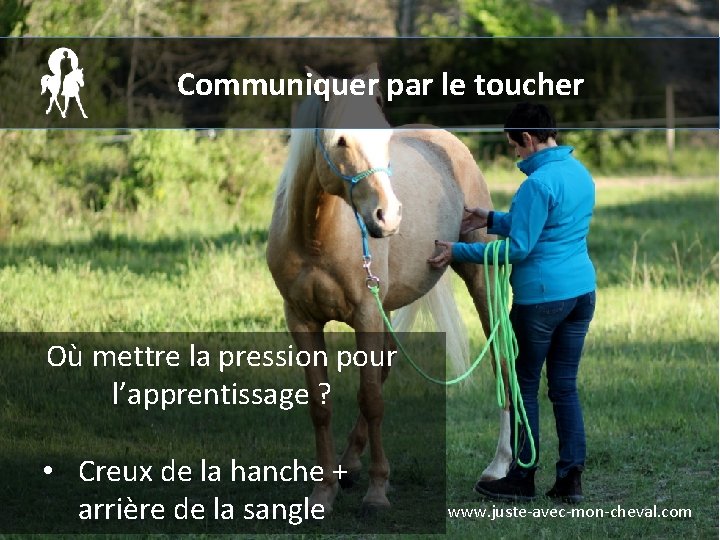 Communiquer par le toucher Où mettre la pression pour l’apprentissage ? • Creux de