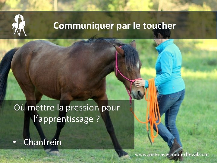 Communiquer par le toucher Où mettre la pression pour l’apprentissage ? • Chanfrein www.
