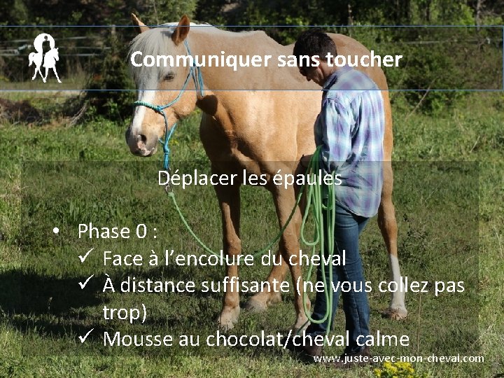 Communiquer sans toucher Déplacer les épaules • Phase 0 : ü Face à l’encolure