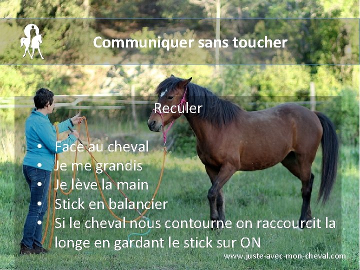 Communiquer sans toucher Reculer • • • Face au cheval Je me grandis Je