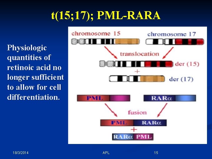 t(15; 17); PML-RARA Physiologic quantities of retinoic acid no longer sufficient to allow for