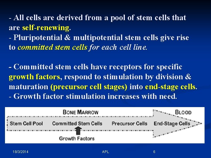 - All cells are derived from a pool of stem cells that are self-renewing.