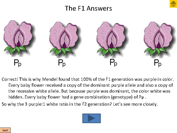 The F 1 Answers Pp Pp Correct! This is why Mendel found that 100%