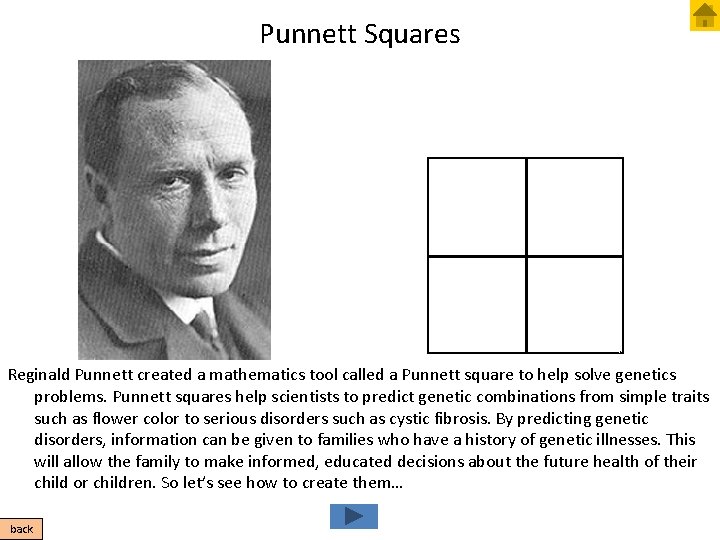 Punnett Squares Reginald Punnett created a mathematics tool called a Punnett square to help
