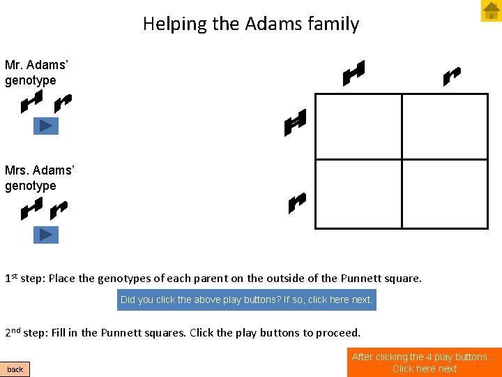 Helping the Adams family Mr. Adams’ genotype Mrs. Adams’ genotype 1 st step: Place