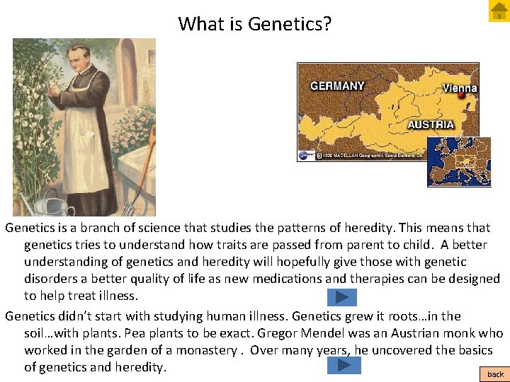 What is Genetics? Genetics is a branch of science that studies the patterns of