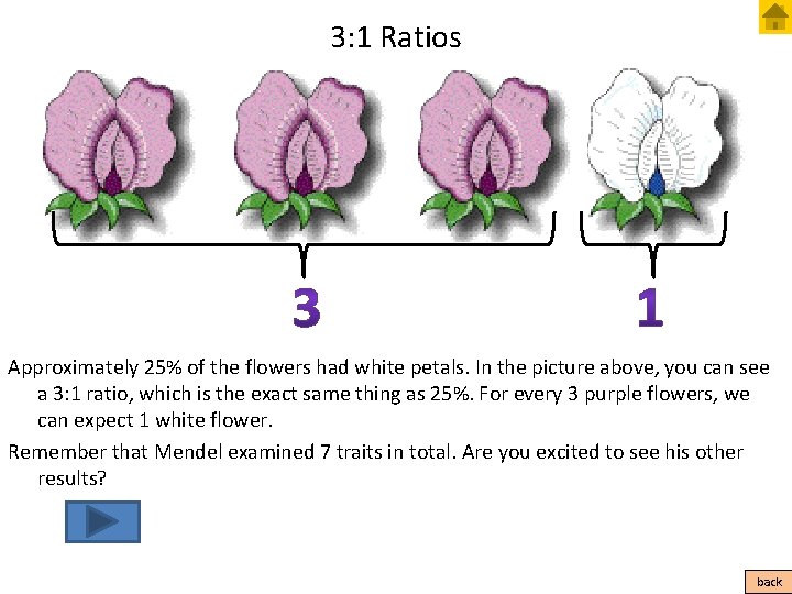 3: 1 Ratios Approximately 25% of the flowers had white petals. In the picture