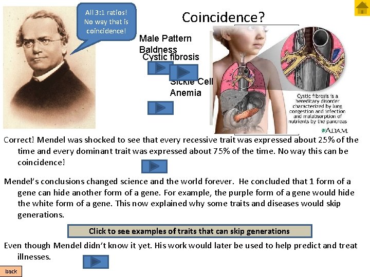 All 3: 1 ratios! No way that is coincidence! Coincidence? Male Pattern Baldness Cystic