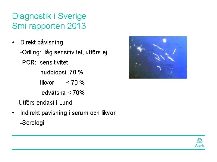 Diagnostik i Sverige Smi rapporten 2013 • Direkt påvisning -Odling: låg sensitivitet, utförs ej