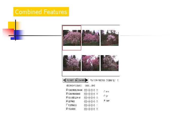 Combined Features 