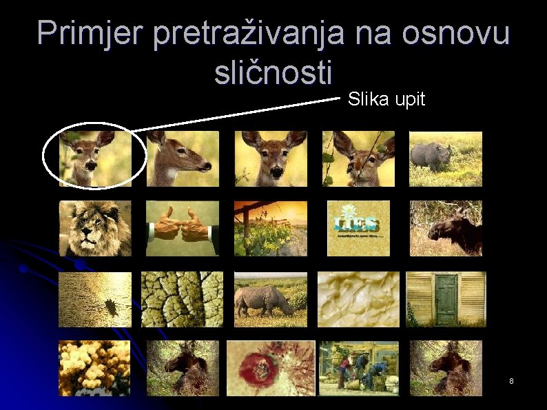 Primjer pretraživanja na osnovu sličnosti Slika upit 8 