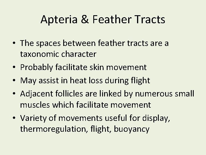 Apteria & Feather Tracts • The spaces between feather tracts are a taxonomic character