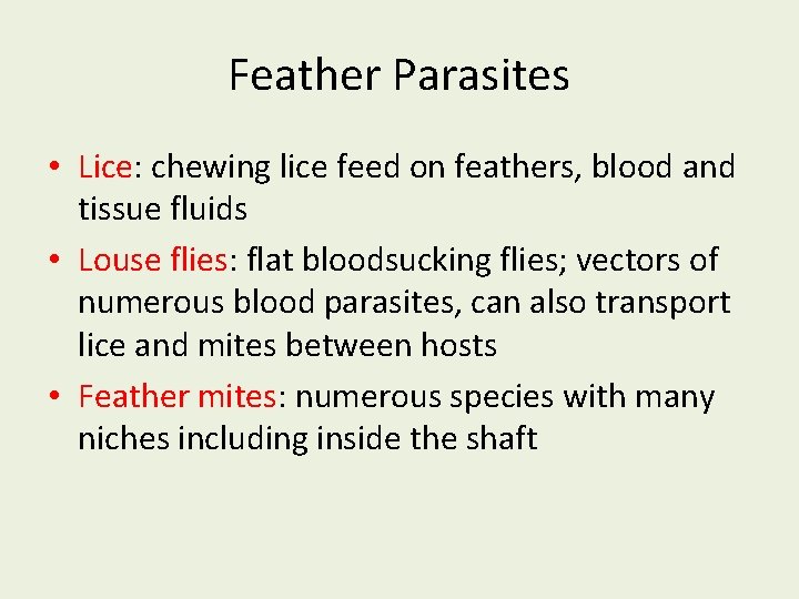 Feather Parasites • Lice: chewing lice feed on feathers, blood and tissue fluids •