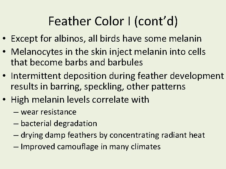 Feather Color I (cont’d) • Except for albinos, all birds have some melanin •