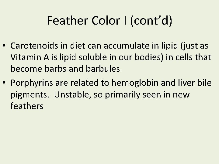 Feather Color I (cont’d) • Carotenoids in diet can accumulate in lipid (just as