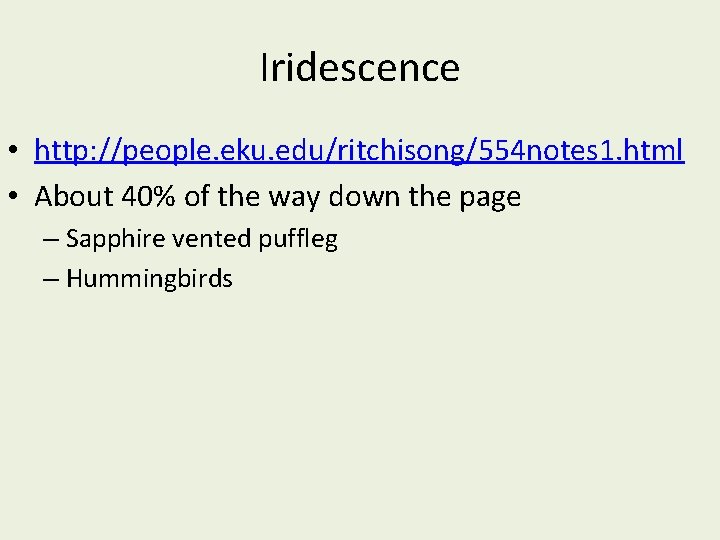 Iridescence • http: //people. eku. edu/ritchisong/554 notes 1. html • About 40% of the