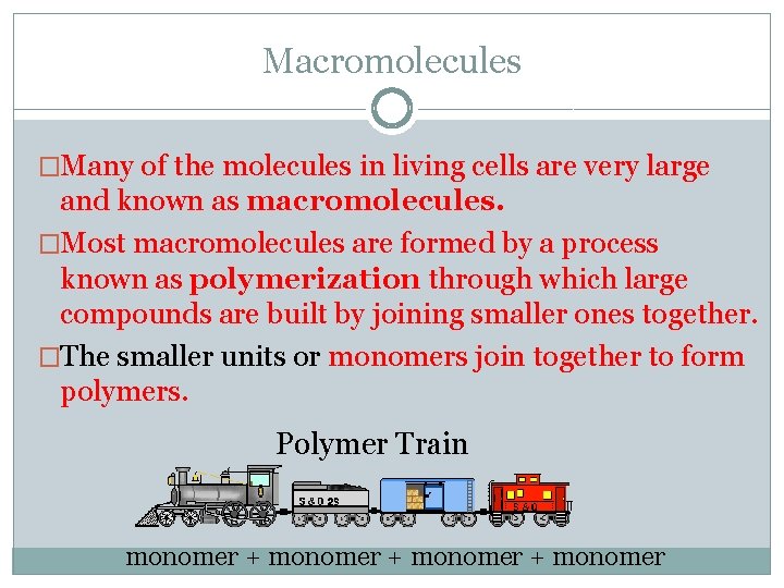 Macromolecules �Many of the molecules in living cells are very large and known as