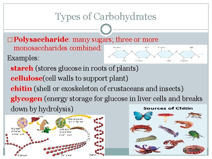 Types of Carbohydrates � Polysaccharide: many sugars; three or more monosaccharides combined. Examples: starch
