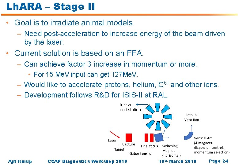 Lh. ARA – Stage II • Goal is to irradiate animal models. – Need