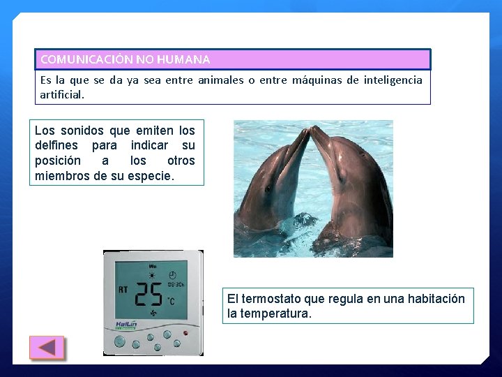 COMUNICACIÓN NO HUMANA Es la que se da ya sea entre animales o entre