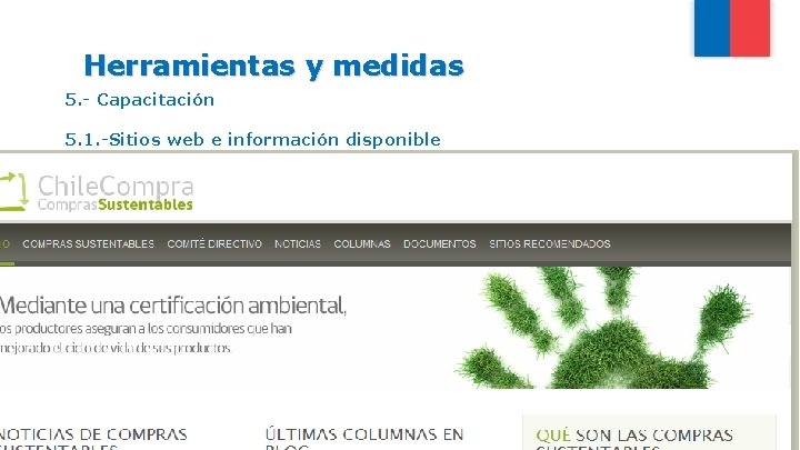 Herramientas y medidas 5. - Capacitación 5. 1. -Sitios web e información disponible Gobierno