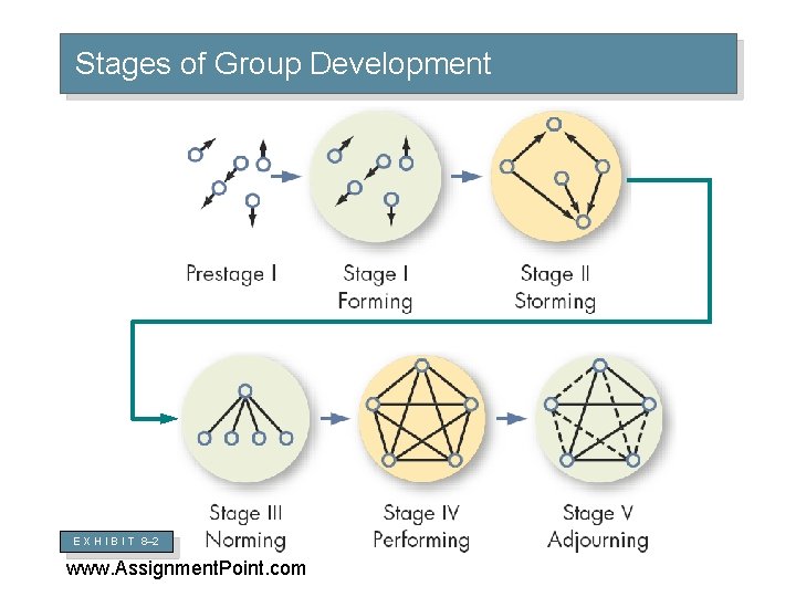 Stages of Group Development E X H I B I T 8– 2 www.