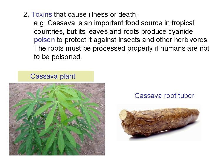 2. Toxins that cause illness or death, e. g. Cassava is an important food