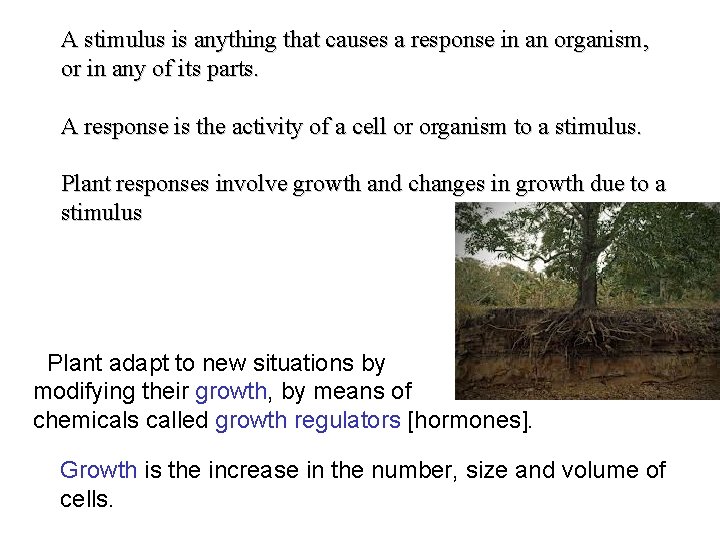 A stimulus is anything that causes a response in an organism, or in any