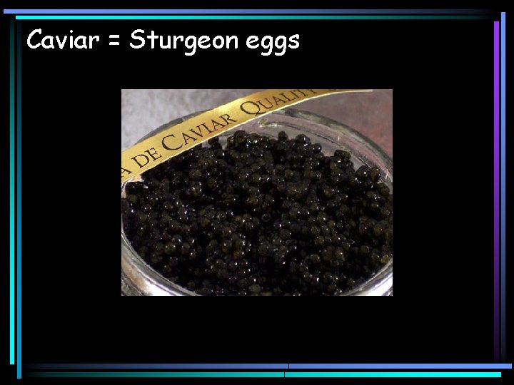Caviar = Sturgeon eggs 