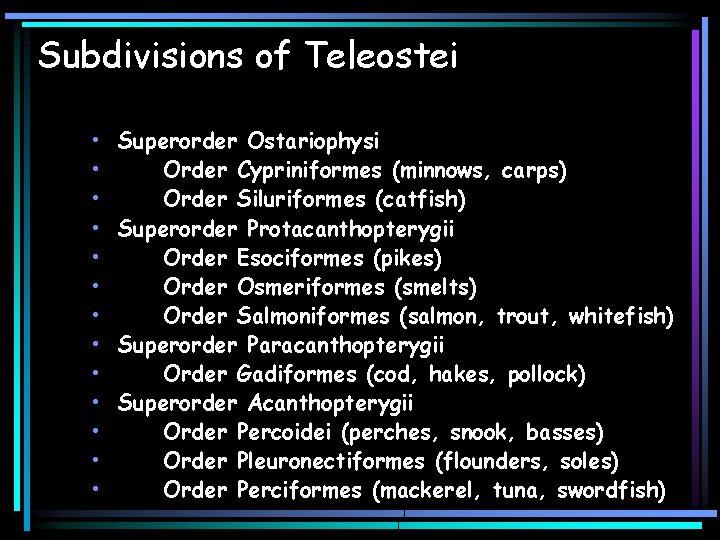 Subdivisions of Teleostei • • • • Superorder Ostariophysi Order Cypriniformes (minnows, carps) Order