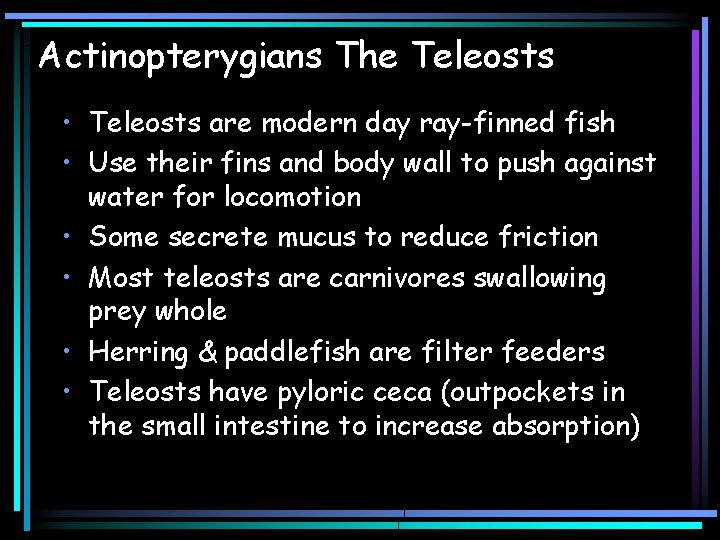 Actinopterygians The Teleosts • Teleosts are modern day ray-finned fish • Use their fins