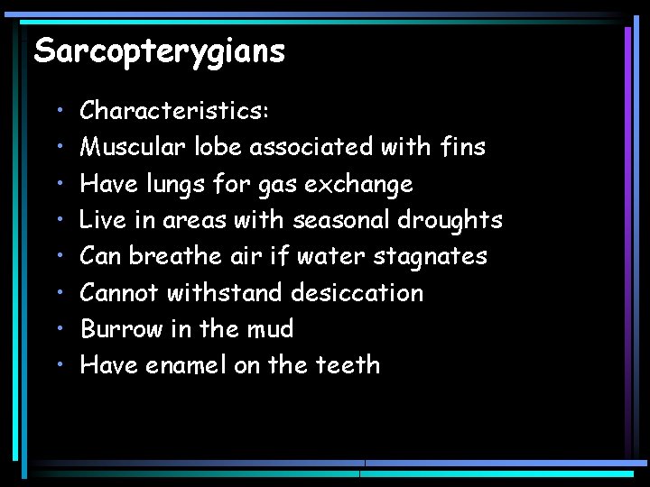 Sarcopterygians • • Characteristics: Muscular lobe associated with fins Have lungs for gas exchange
