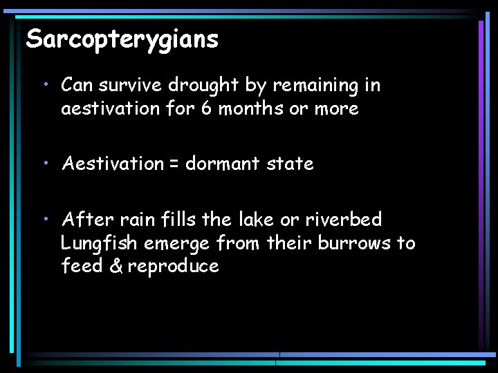 Sarcopterygians • Can survive drought by remaining in aestivation for 6 months or more