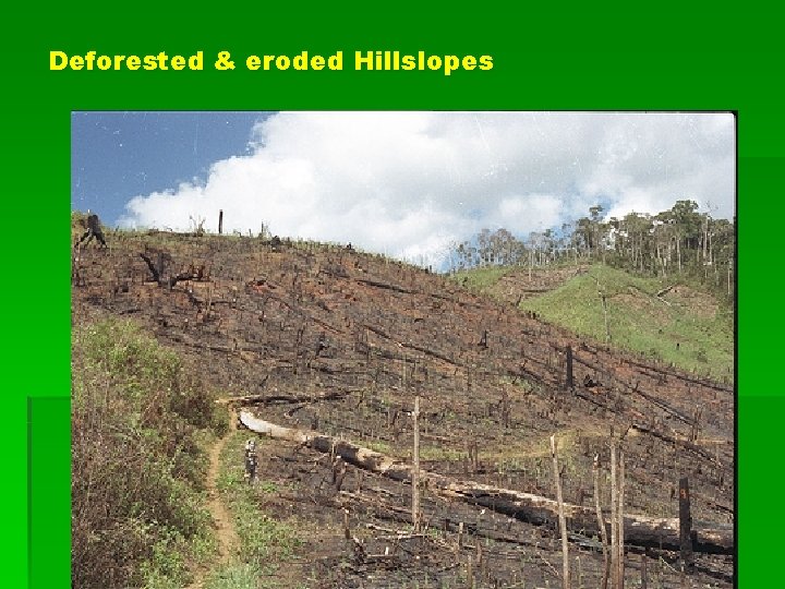 Deforested & eroded Hillslopes 