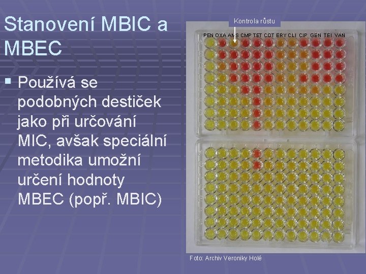 Stanovení MBIC a MBEC Kontrola růstu PEN OXA AMS CMP TET COT ERY CLI