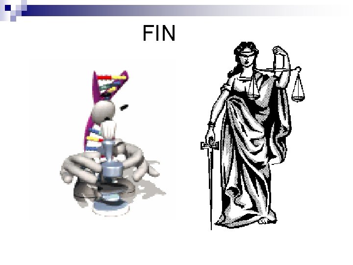 FIN 